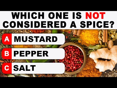 Are You An Einstein? Test Your Brain's Cognitive Level! | Ultimate Trivia Quiz Round 80