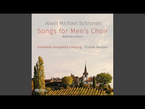 Es geht ein dunkle Wolk herein