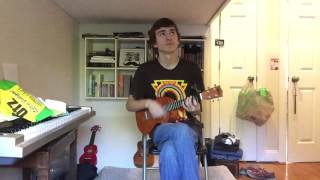 Plastic Flowers - The Front Bottoms (Cover by Jimmy Noonan)