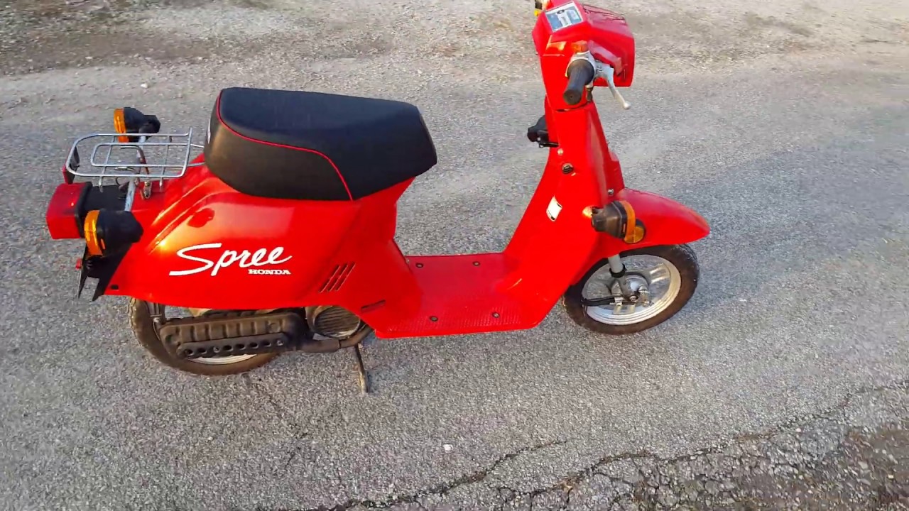 1986 Honda Spree 50cc scooter