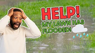 HOW TO REPAIR YOUR LAWN AFTER A FLOOD