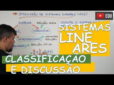🔴DISCUSSION AND CLASSIFICATION OF A SYSTEM