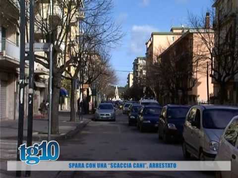 UN Spaustuvas Bessey TG10-2K; 100 mm video