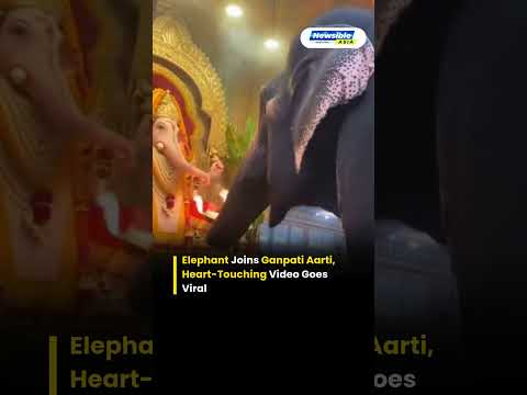 Elephant Joins Ganpati Aarti at Temple | Heart-Touching Viral Moment Wins Millions of Hearts