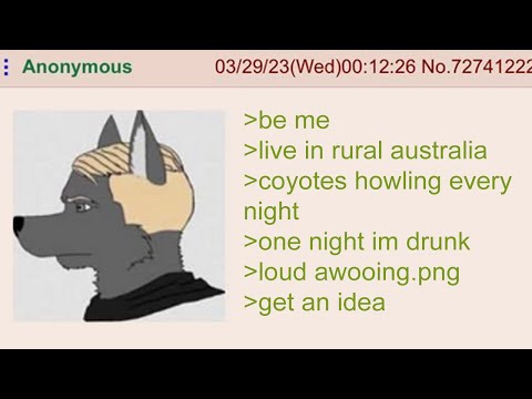 Anon is Sick of Coyotes - 4Chan Greentext Stories