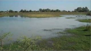 preview picture of video 'The chemical waste fields Bhopal'