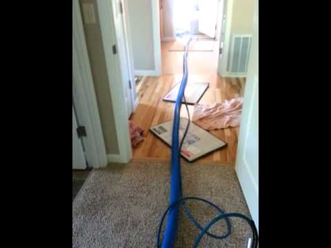 download lagu mp3 mp4 Carpet Off Gassing, download lagu Carpet Off Gassing gratis, unduh video klip Carpet Off Gassing