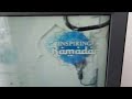 D O G S Inspiring Ramadan 1443 H Inews 2022
