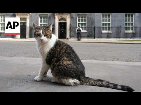 Larry the cat, British unofficial first feline, has served under 6 prime ministers
