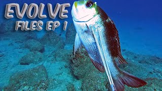 3 Prong Sesh - Evolve Files Ep. 1 - Spearfishing Hawaii