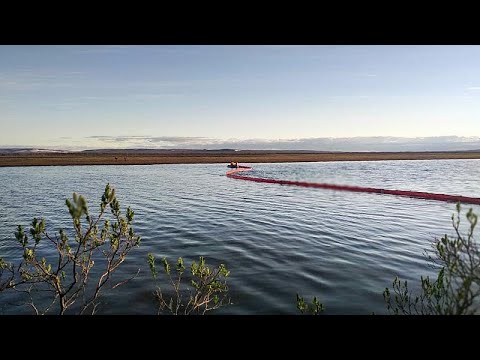 Disastro ambientale in Siberia, l'oligarca della Norilsk Nickel: "Non pagherà la comunità"