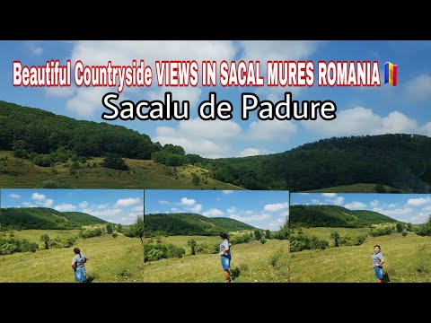 BEAUTIFUL COUNTRYSIDE VIEWS || SACALU DE PADURE || MURES ROMANIA