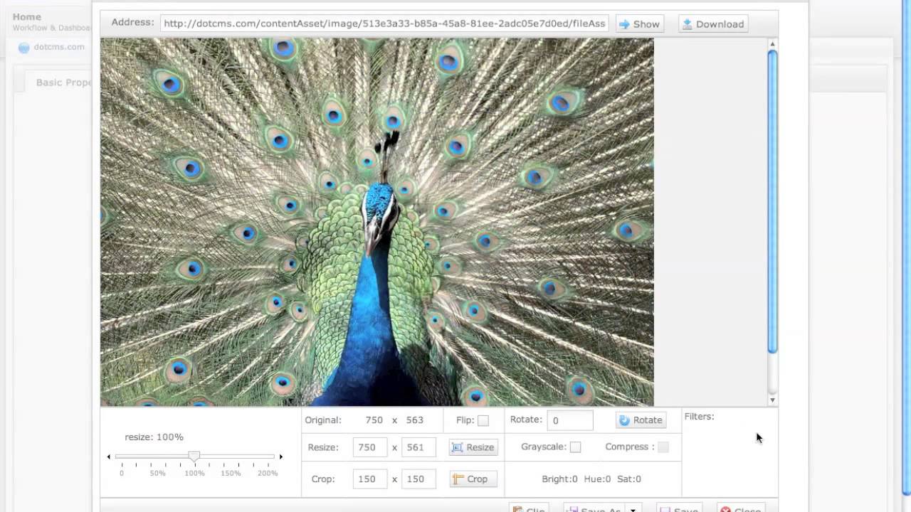 Dotcms Image Editor