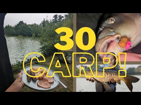 WE HAD 30 CARP IN 48 HOURS!! // Holme Grange Fishery