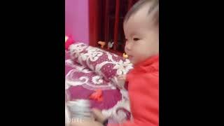 Em bé tìm con vật
