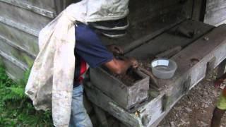 preview picture of video 'Extracción de miel de abejas nativas aprendiz Albaner'