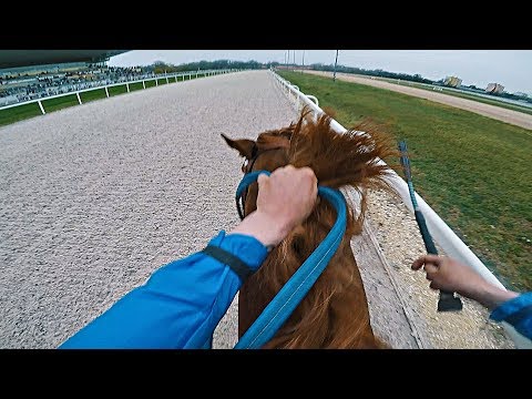 , title : 'NEW RECORD!!! 1. Place, Graded 3 Race 1400 m |1:25:7 | Zwegat (GER) | Kincsem park, Budapest | GoPro'