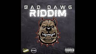 Killer Dem - Shack Wes (Bad Dawg Riddim)