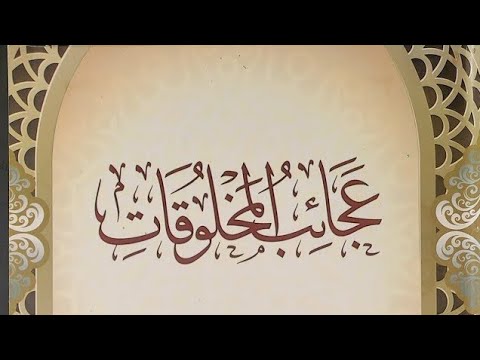 11- Les conditions du repentir