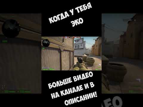 😝КОГДА У ТЕБЯ ЭКО НО ЭТО НЕ ТОЧНО😝! Спасибо за подписку и лайк! #Shorts