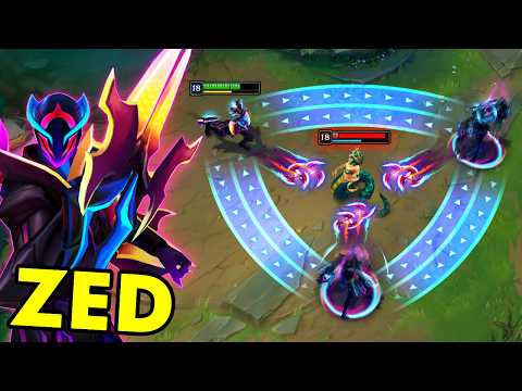 What 1000 Hours of ZED Looks Like...