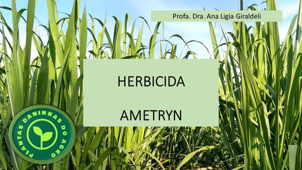 HERBICIDA AMETRYN