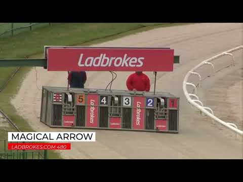 Magical Arrow - Ladbrokes 480m Open Race