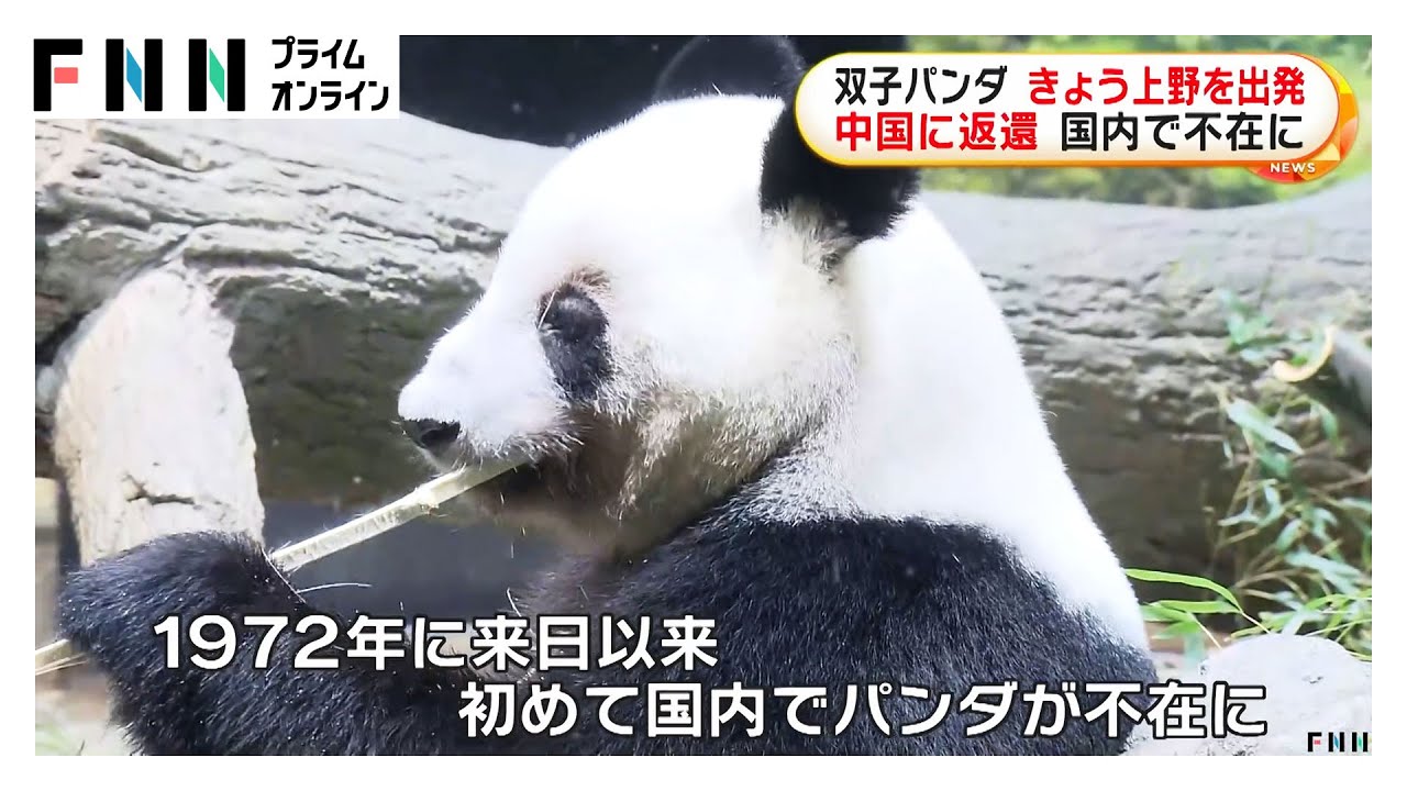 さよなら…今夜上野のパンダ二頭が成田空港から中国へ　1972年の初来日から初めて“パンダ不在”に (2026/01/27)