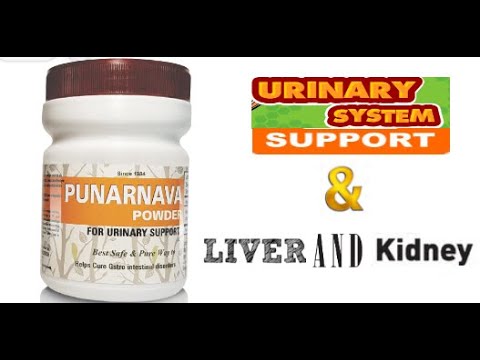 Amar pharmaceuticals punarnava powder, packaging size: 2x100...