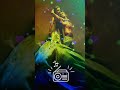 Ai Pookale Satru Oivedungal Tamil WhatsApp Status