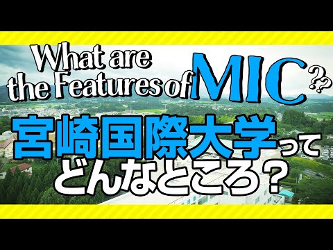 MICってどんなところ