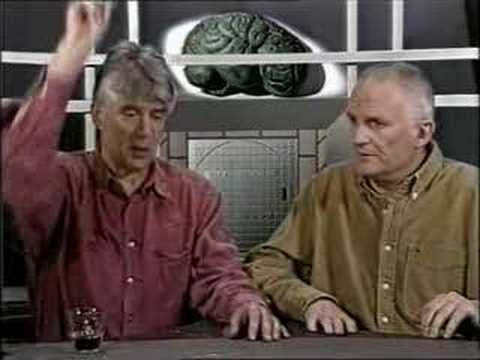 K&B - Deksel vd Desk 18 - 8van8 - Nooit meer vlees te eten