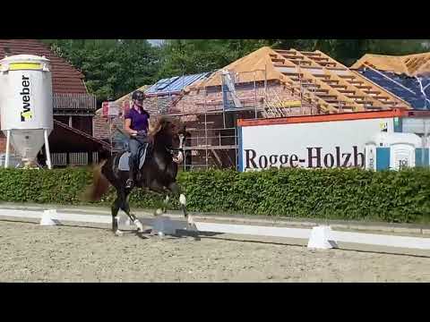 Sky (Sezuan - Sir Donnerhall) 2021