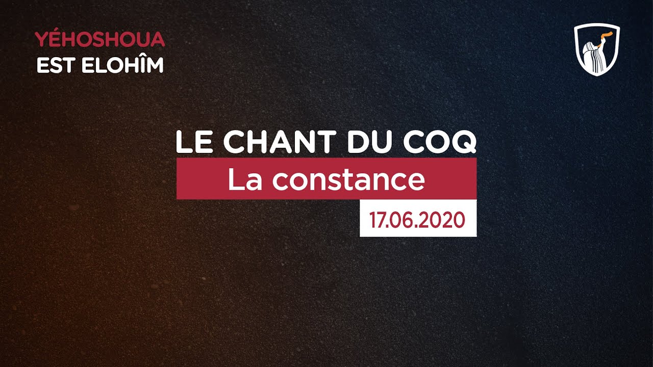 Thumbnail of video: La constance