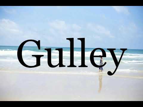 How To Pronounce Gulley🌈🌈🌈🌈🌈🌈Pronunciation Of Gulley