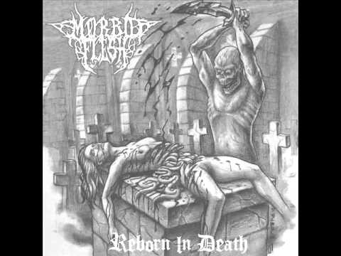 Morbid Flesh - Scream Bloody Gore (Death cover)