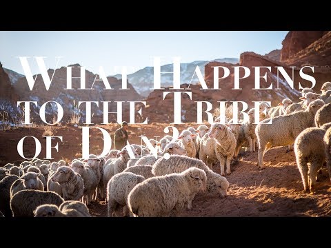 What Happens to the Tribe of Dan?