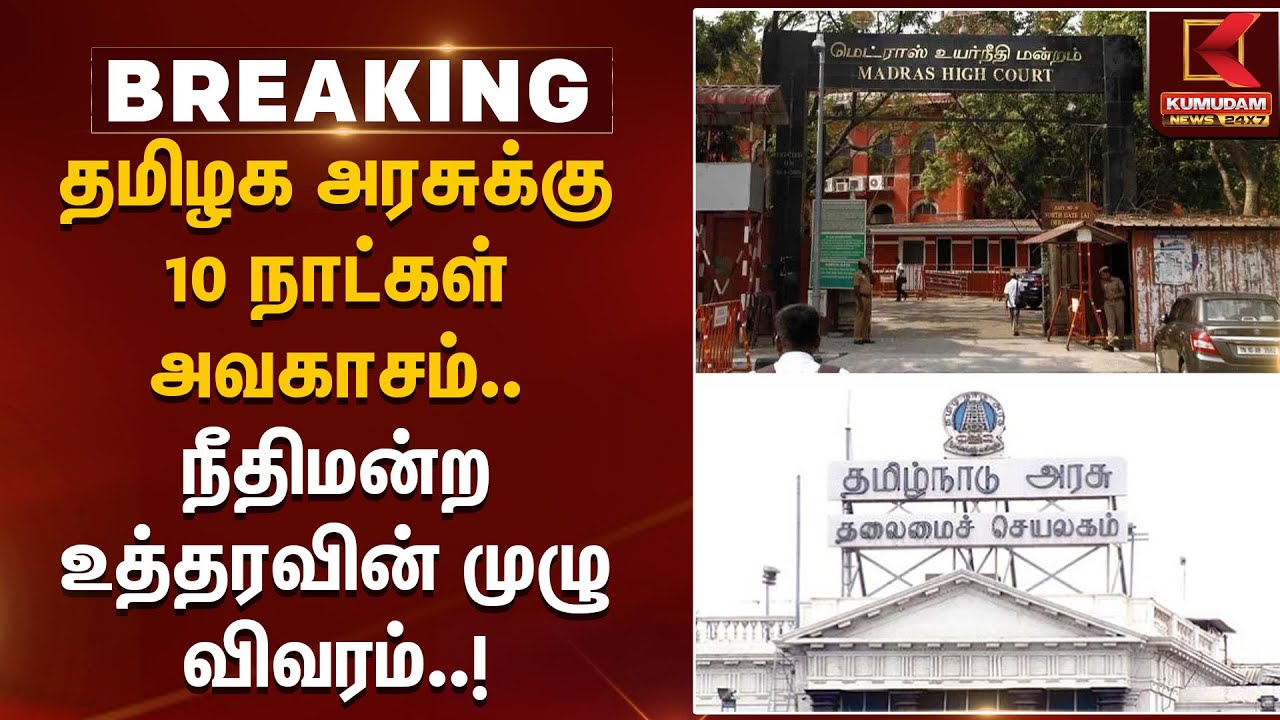 High Court Order | தமிழக அரசுக்கு 10 நாட்கள் அவகாசம்..  நீதிமன்ற உத்தரவின் முழு விவரம் | Karur Issue