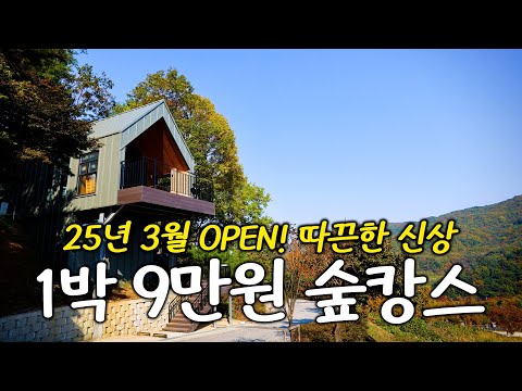 자연에 가까운 겨울 왕국, 술레에산 자연 휴양림의 매력적인 트리하우스