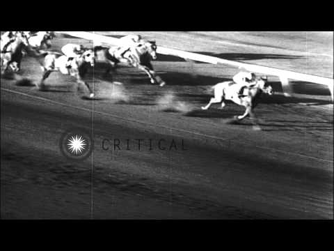 Seabiscuit wins the inaugural Hollywood Gold Cup at Hollywood Park in Inglewood, ...HD Stock Footage