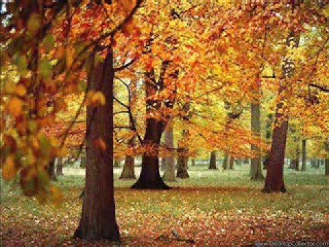 The Tolkien Ensemble: Galadriel's Song of Eldamar