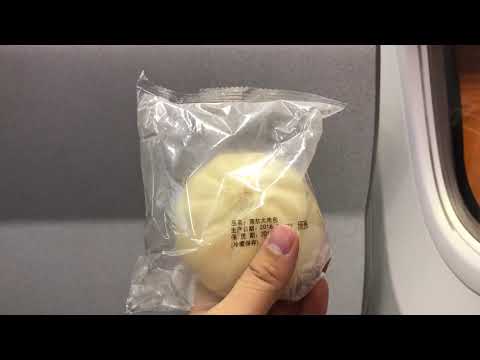 Miniatura de YouTube para China Southern Airlines Boeing 737-800 Passenger