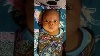 Download lagu BAYI BARU LAHIR INI TIDAK TERIMA DI SEBUT HIDUNGNYA PESEK😂😂😂 mp3