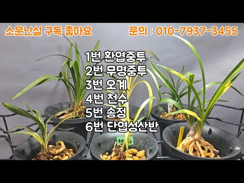 유튜브 썸네일