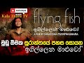 මුඩු බිමක සුරාන්තයේ පහස සොයන ඉගිල්ලෙ�