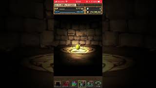 ゴットフェスついに奇跡か⁈パズドラ