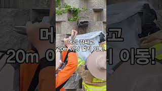 벌집 발견시 119로 신고하세요!!