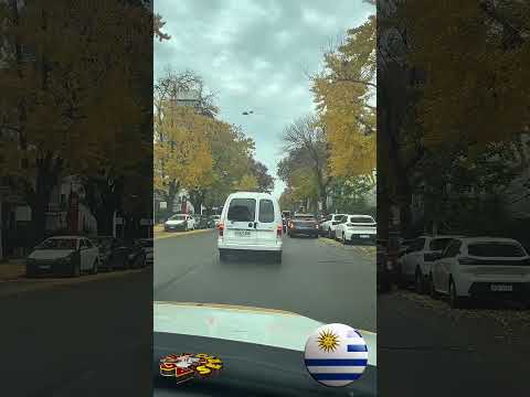 REPÓRTER FAVELA POR AI RUAS DO URUGUAY