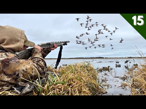 COVERED UP In HUGE FLOCKS Of DUCKS (Limited Out) | Duck Hunting 2025