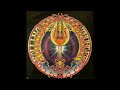 Mickey Hart  - The Main Ten (Playing In The Band)